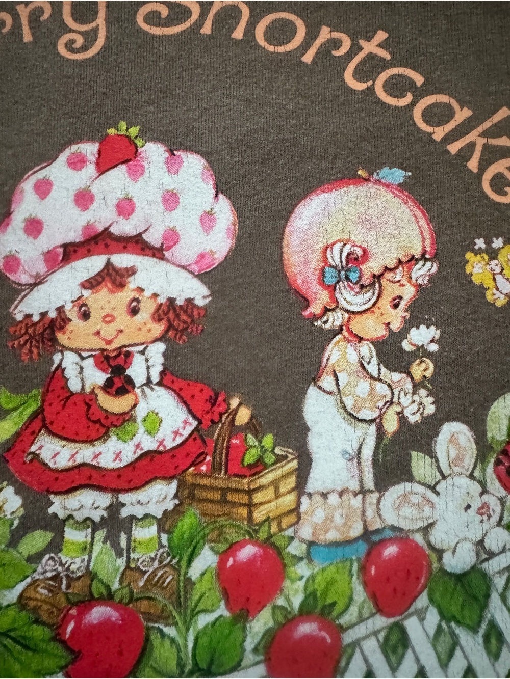 Strawberry Shortcake Oversized Brown Sweatshirt One Size OS Retro Graphic Cozy - Picture 5 of 7